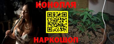 a pvp Обнинск