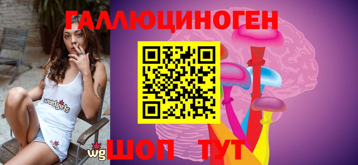 Псилоцибиновые грибы прущие грибы Новосибирск